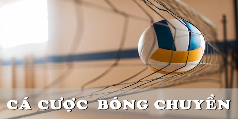 Các loại cược cơ bản trong cá cược bóng chuyền fastgame888